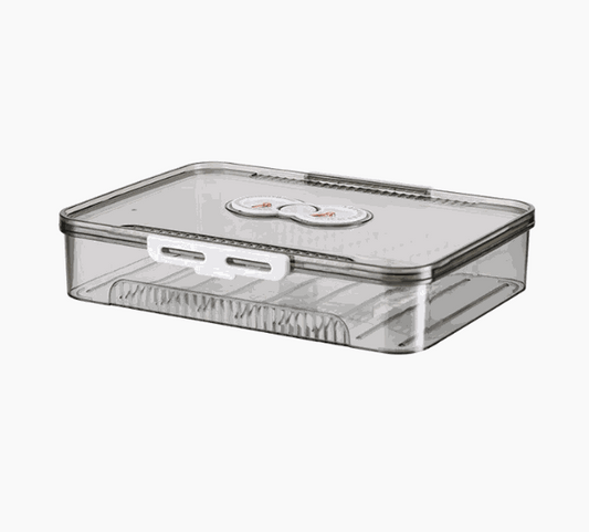 Transparent dumpling storage box with lid for kitchen organization and food freshness