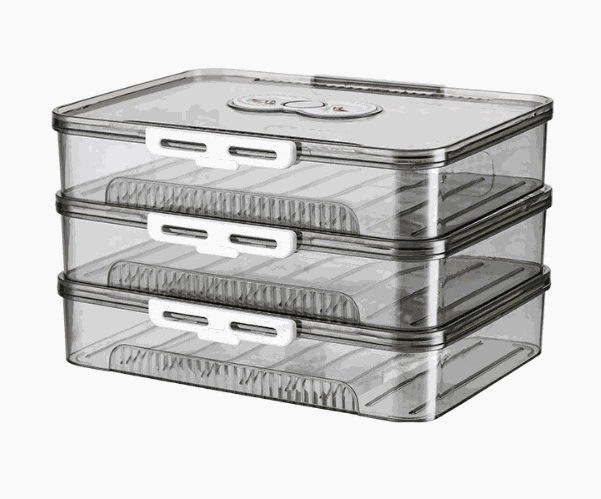 Transparent dumpling storage box with lid for kitchen organization