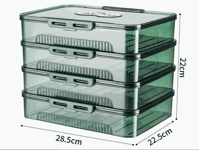 Transparent dumpling storage box with lid for kitchen organization