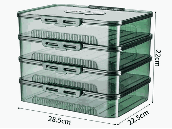 Transparent dumpling storage box with lid for kitchen organization