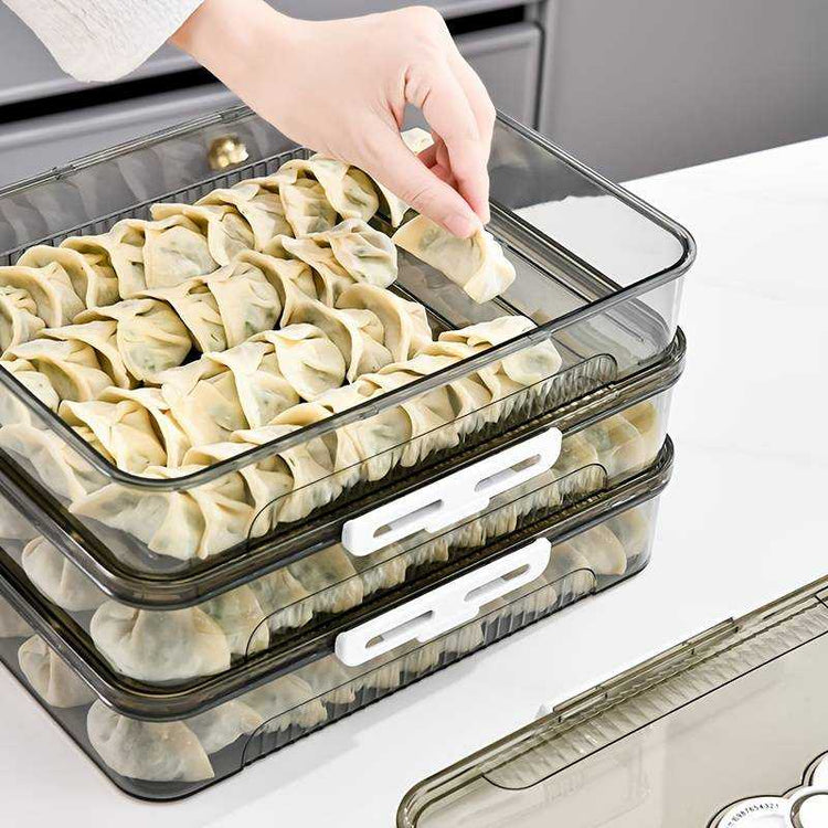 Transparent dumpling storage box with lid for kitchen organization