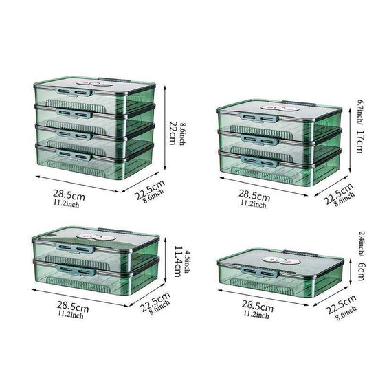 Transparent dumpling storage box with lid for kitchen organization and food freshness