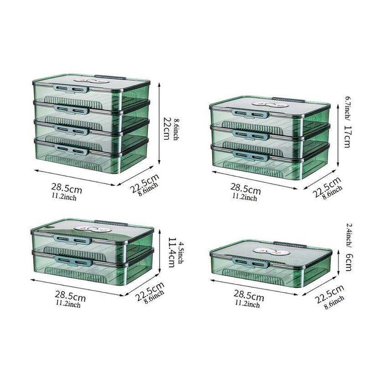 Transparent dumpling storage box with lid for kitchen organization and food freshness