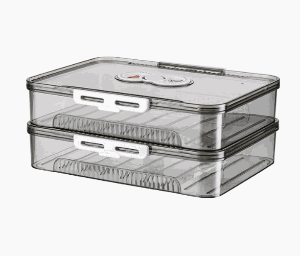 Transparent dumpling storage box with lid for kitchen organization and food freshness