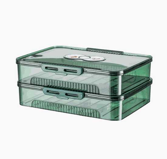 Transparent dumpling storage box with lid for kitchen organization and food freshness