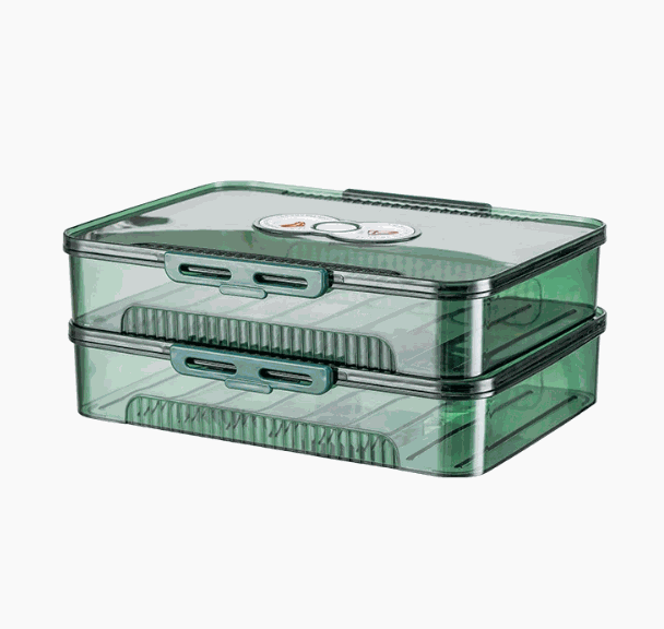 Transparent dumpling storage box with lid for kitchen organization and food freshness