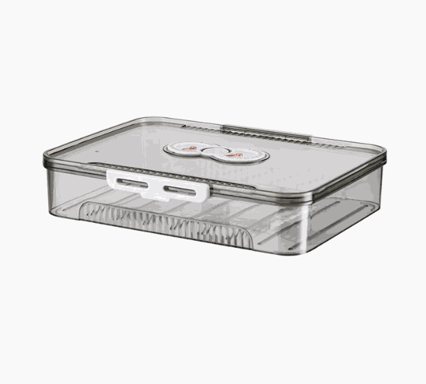 Transparent dumpling storage box with lid for kitchen organization and food freshness