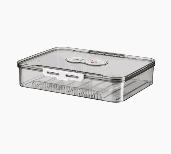 Transparent Dumpling Storage Box with Lid – Clear Food Container