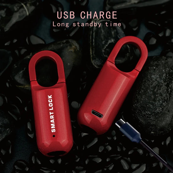 Smart Fingerprint Luggage Padlock