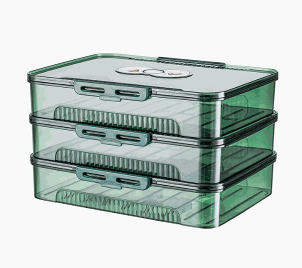 Transparent dumpling storage box with lid for kitchen organization and food freshness