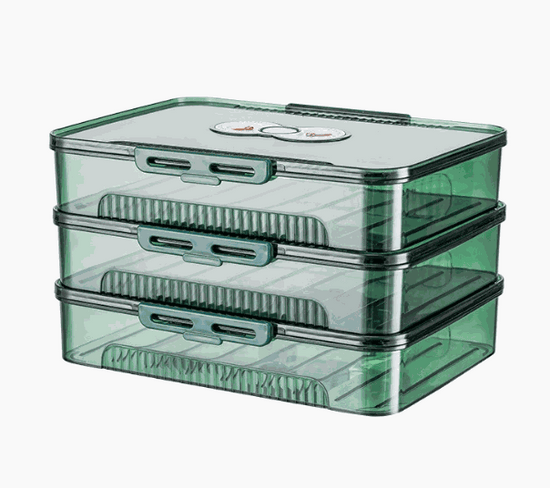 Transparent dumpling storage box with lid for kitchen organization and food freshness
